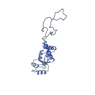 4478_6q9a_D_v1-0
Structure of tmRNA SmpB bound past E site of E. coli 70S ribosome