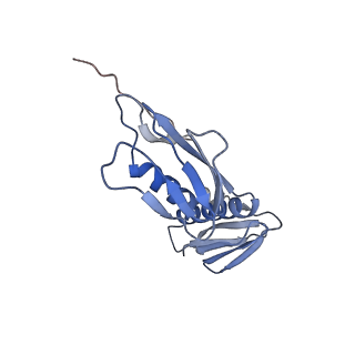 4478_6q9a_F_v1-0
Structure of tmRNA SmpB bound past E site of E. coli 70S ribosome