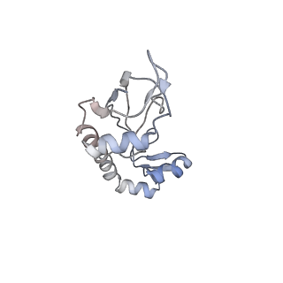 4478_6q9a_G_v1-0
Structure of tmRNA SmpB bound past E site of E. coli 70S ribosome