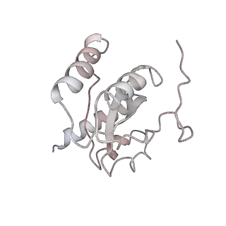 4478_6q9a_H_v1-0
Structure of tmRNA SmpB bound past E site of E. coli 70S ribosome