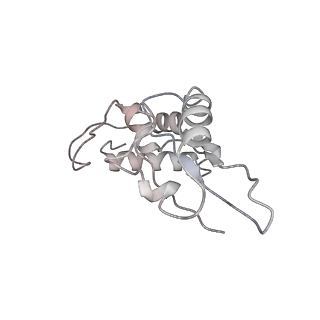 4478_6q9a_I_v1-0
Structure of tmRNA SmpB bound past E site of E. coli 70S ribosome