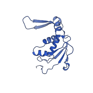 4478_6q9a_J_v1-0
Structure of tmRNA SmpB bound past E site of E. coli 70S ribosome