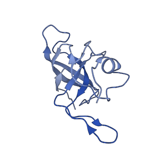 4478_6q9a_K_v1-0
Structure of tmRNA SmpB bound past E site of E. coli 70S ribosome