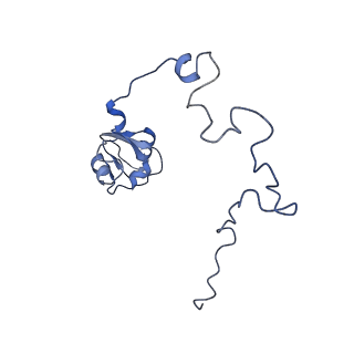 4478_6q9a_L_v1-0
Structure of tmRNA SmpB bound past E site of E. coli 70S ribosome