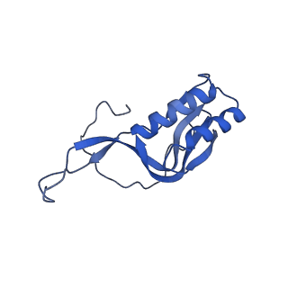 4478_6q9a_M_v1-0
Structure of tmRNA SmpB bound past E site of E. coli 70S ribosome