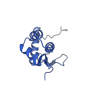 4478_6q9a_N_v1-0
Structure of tmRNA SmpB bound past E site of E. coli 70S ribosome