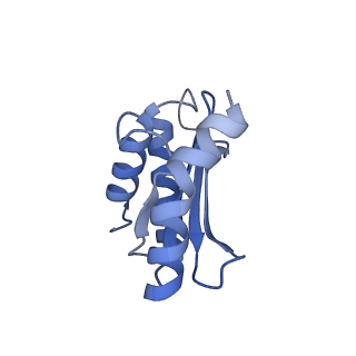 4478_6q9a_O_v1-0
Structure of tmRNA SmpB bound past E site of E. coli 70S ribosome