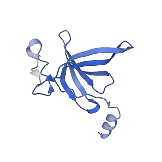 4478_6q9a_P_v1-0
Structure of tmRNA SmpB bound past E site of E. coli 70S ribosome