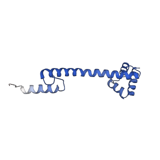 4478_6q9a_Q_v1-0
Structure of tmRNA SmpB bound past E site of E. coli 70S ribosome