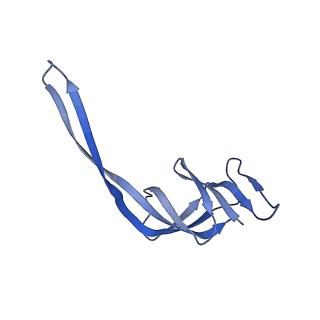 4478_6q9a_R_v1-0
Structure of tmRNA SmpB bound past E site of E. coli 70S ribosome