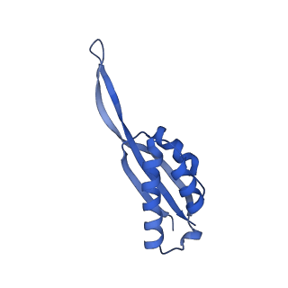 4478_6q9a_S_v1-0
Structure of tmRNA SmpB bound past E site of E. coli 70S ribosome