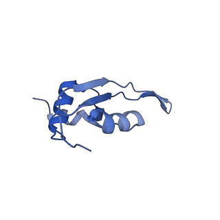 4478_6q9a_T_v1-0
Structure of tmRNA SmpB bound past E site of E. coli 70S ribosome