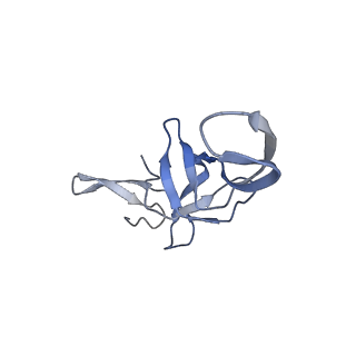 4478_6q9a_U_v1-0
Structure of tmRNA SmpB bound past E site of E. coli 70S ribosome