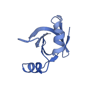 4478_6q9a_V_v1-0
Structure of tmRNA SmpB bound past E site of E. coli 70S ribosome