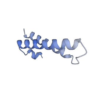 4478_6q9a_Y_v1-0
Structure of tmRNA SmpB bound past E site of E. coli 70S ribosome