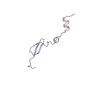 4478_6q9a_a_v1-0
Structure of tmRNA SmpB bound past E site of E. coli 70S ribosome
