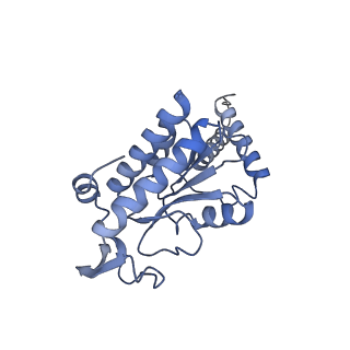 4478_6q9a_g_v1-0
Structure of tmRNA SmpB bound past E site of E. coli 70S ribosome