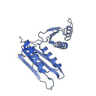 4478_6q9a_h_v1-0
Structure of tmRNA SmpB bound past E site of E. coli 70S ribosome