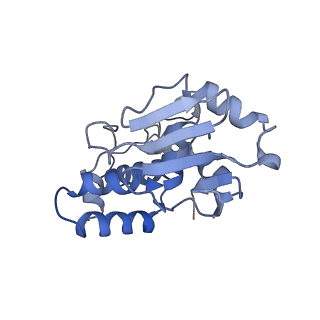 4478_6q9a_i_v1-0
Structure of tmRNA SmpB bound past E site of E. coli 70S ribosome