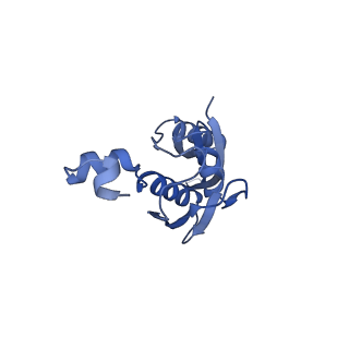 4478_6q9a_j_v1-0
Structure of tmRNA SmpB bound past E site of E. coli 70S ribosome