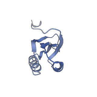 4478_6q9a_k_v1-0
Structure of tmRNA SmpB bound past E site of E. coli 70S ribosome