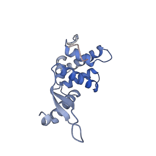 4478_6q9a_l_v1-0
Structure of tmRNA SmpB bound past E site of E. coli 70S ribosome