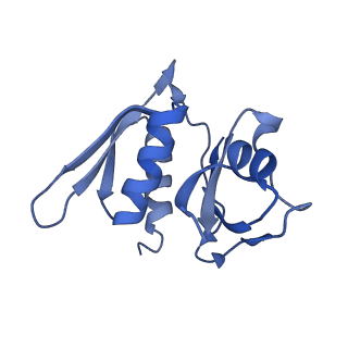4478_6q9a_m_v1-0
Structure of tmRNA SmpB bound past E site of E. coli 70S ribosome