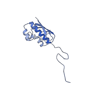 4478_6q9a_n_v1-0
Structure of tmRNA SmpB bound past E site of E. coli 70S ribosome