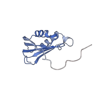 4478_6q9a_p_v1-0
Structure of tmRNA SmpB bound past E site of E. coli 70S ribosome