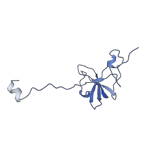4478_6q9a_q_v1-0
Structure of tmRNA SmpB bound past E site of E. coli 70S ribosome