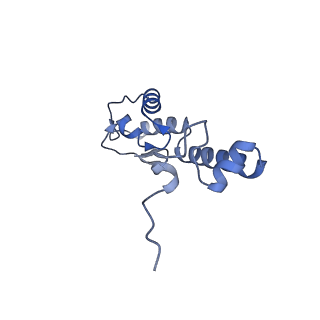 4478_6q9a_r_v1-0
Structure of tmRNA SmpB bound past E site of E. coli 70S ribosome