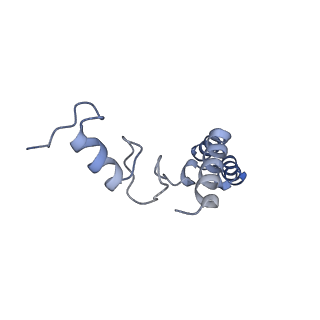 4478_6q9a_s_v1-0
Structure of tmRNA SmpB bound past E site of E. coli 70S ribosome