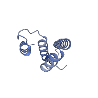 4478_6q9a_t_v1-0
Structure of tmRNA SmpB bound past E site of E. coli 70S ribosome