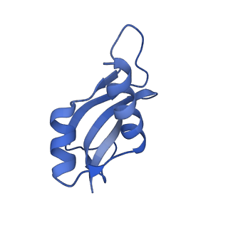 4478_6q9a_u_v1-0
Structure of tmRNA SmpB bound past E site of E. coli 70S ribosome
