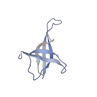 4478_6q9a_v_v1-0
Structure of tmRNA SmpB bound past E site of E. coli 70S ribosome