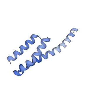 4478_6q9a_y_v1-0
Structure of tmRNA SmpB bound past E site of E. coli 70S ribosome