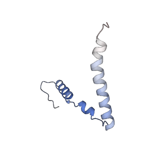 4478_6q9a_z_v1-0
Structure of tmRNA SmpB bound past E site of E. coli 70S ribosome