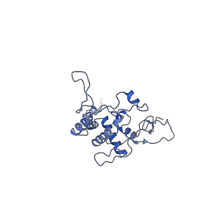 4481_6q9e_c1_v1-2
Complex III2 focused refinement from Ovine respiratory supercomplex I+III2