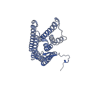 13880_7qa8_A_v1-2
Structure of the GPCR dimer Ste2 bound to an antagonist