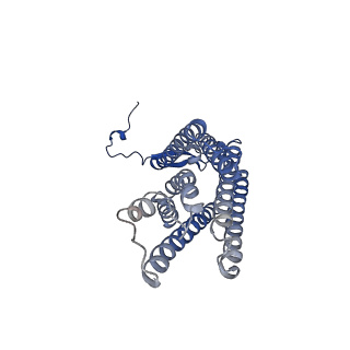 13880_7qa8_B_v1-2
Structure of the GPCR dimer Ste2 bound to an antagonist