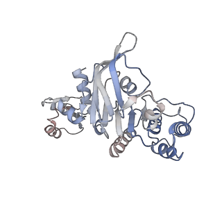 13885_7qba_B_v1-3
CryoEM structure of the ABC transporter NosDFY complexed with nitrous oxide reductase NosZ
