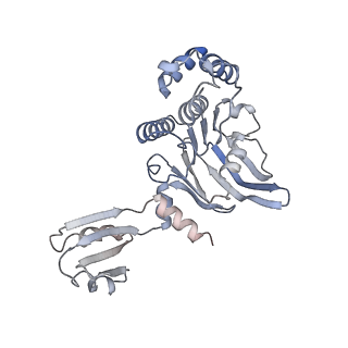 13885_7qba_C_v1-3
CryoEM structure of the ABC transporter NosDFY complexed with nitrous oxide reductase NosZ
