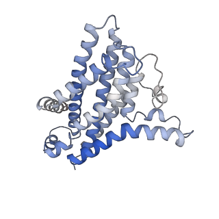 13885_7qba_D_v1-3
CryoEM structure of the ABC transporter NosDFY complexed with nitrous oxide reductase NosZ