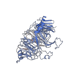 13885_7qba_H_v1-3
CryoEM structure of the ABC transporter NosDFY complexed with nitrous oxide reductase NosZ