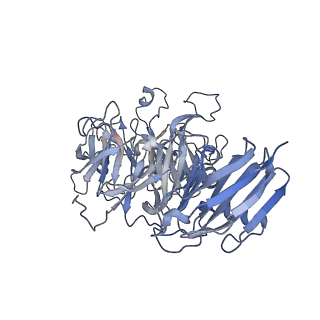 13885_7qba_I_v1-3
CryoEM structure of the ABC transporter NosDFY complexed with nitrous oxide reductase NosZ