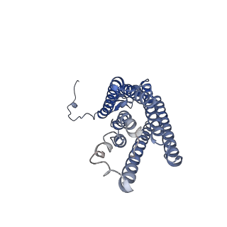 13886_7qbc_B_v1-2
Structure of the GPCR dimer Ste2 in the inactive-like state bound to agonist