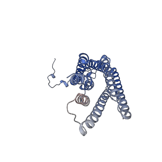 13887_7qbi_A_v1-2
Structure of the GPCR dimer Ste2 in the active-like state bound to agonist