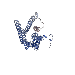 13887_7qbi_B_v1-2
Structure of the GPCR dimer Ste2 in the active-like state bound to agonist