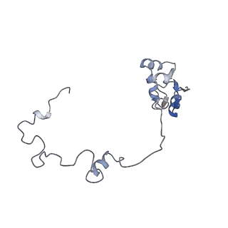 13892_7qca_LAA_v1-2
Spraguea lophii ribosome