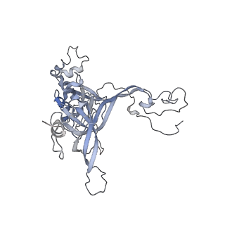 13892_7qca_LB0_v1-2
Spraguea lophii ribosome